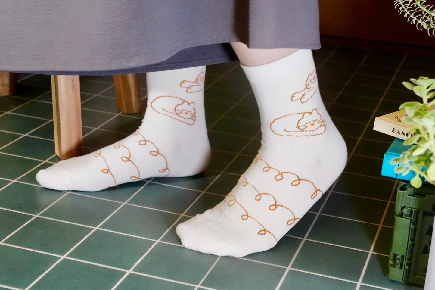 Socks | Three Little Kittens