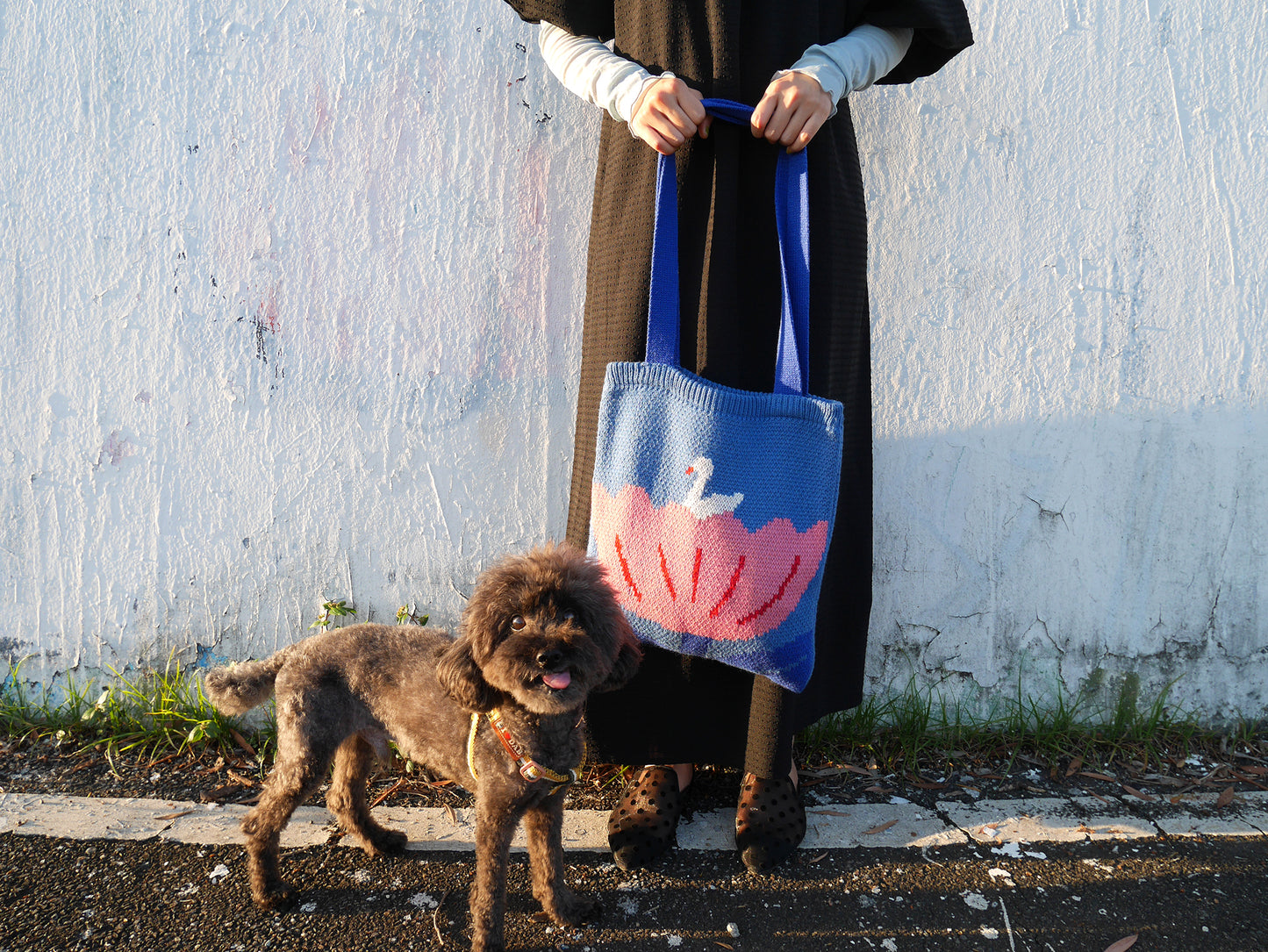 Knit bag | Swan Lake.