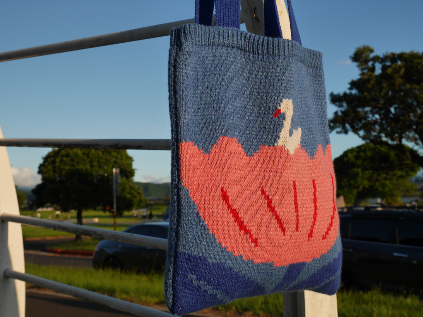 Knit bag | Swan Lake.