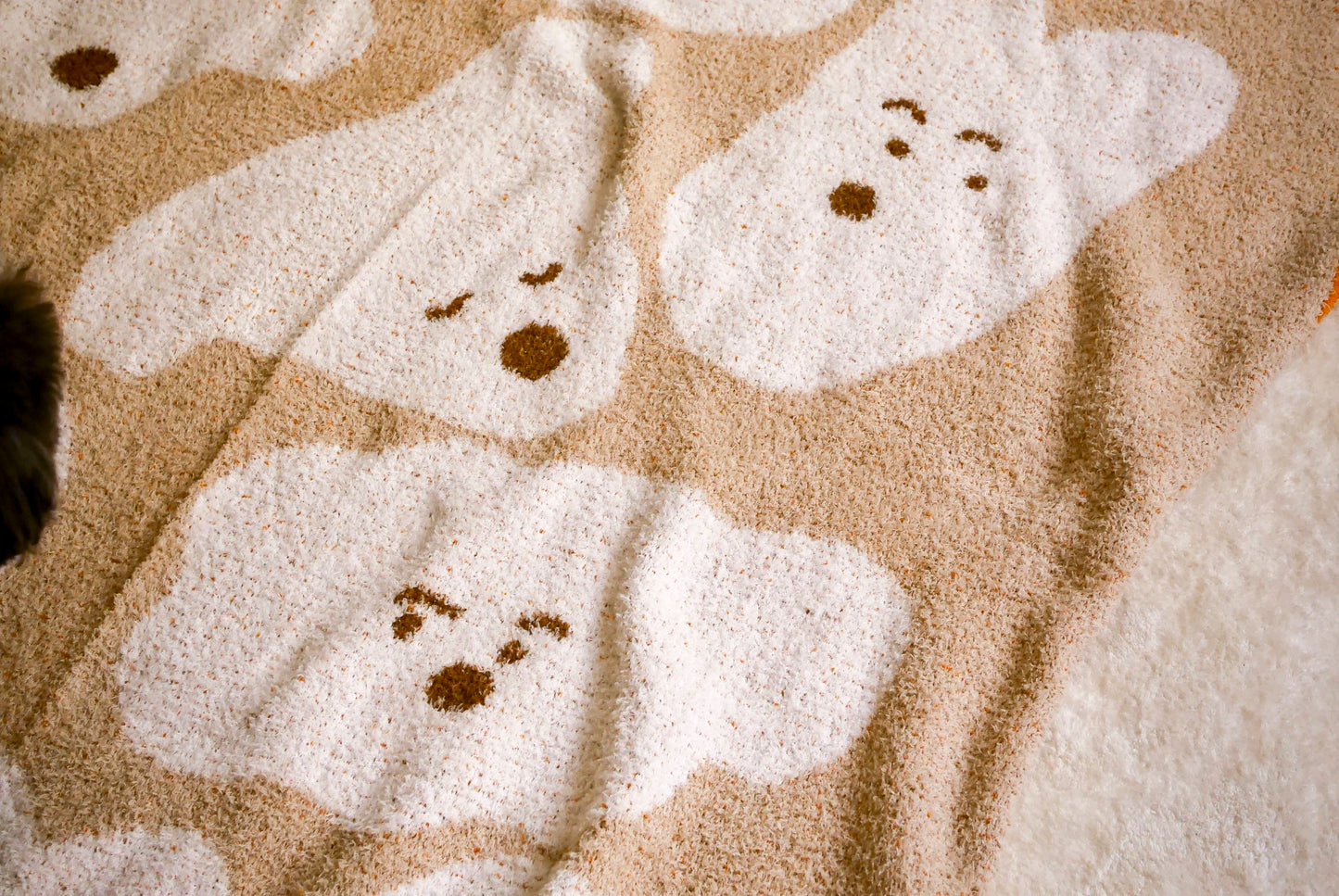 Blanket | Dogs in my life