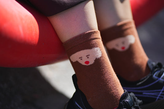 Socks | Brown puppy