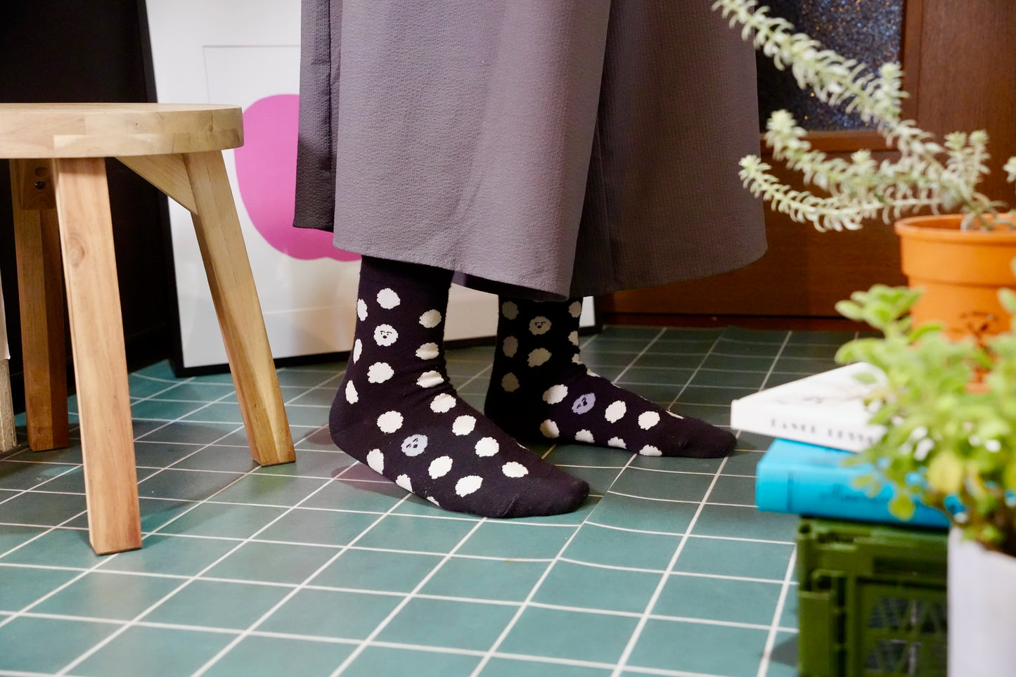Socks | Brown puppy