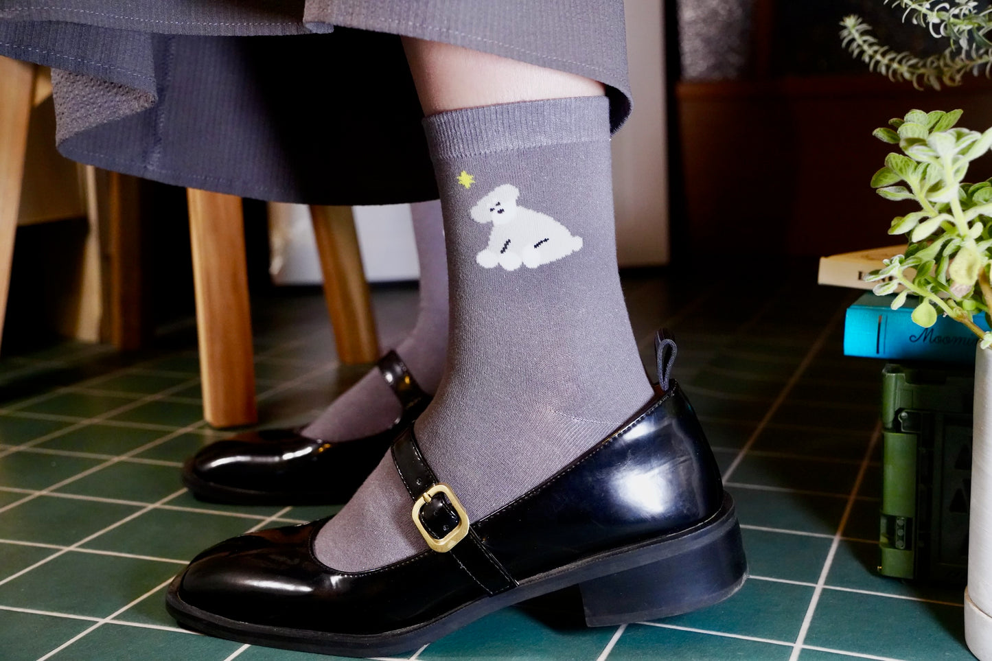 Socks | Schnauzer