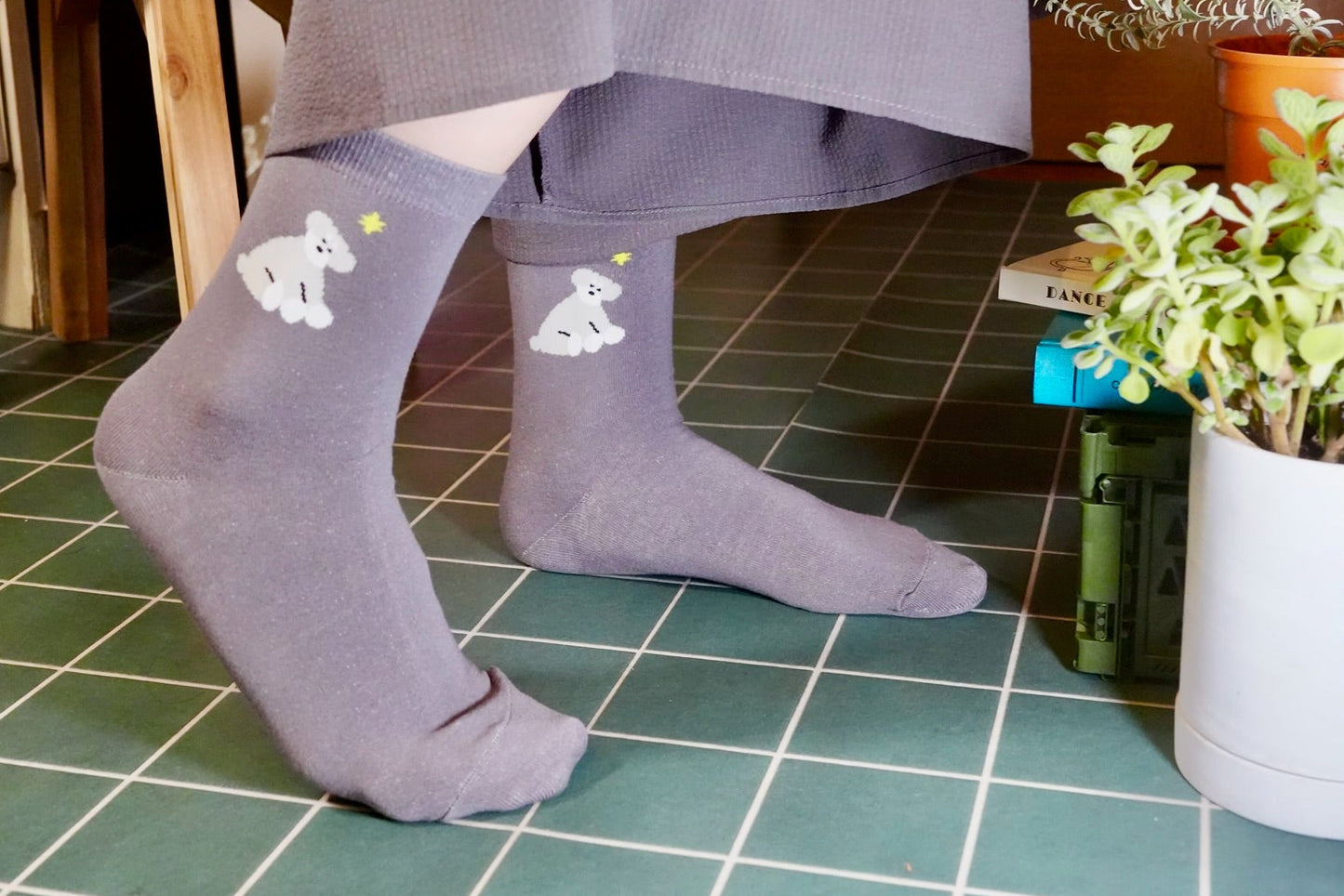 Socks | Schnauzer
