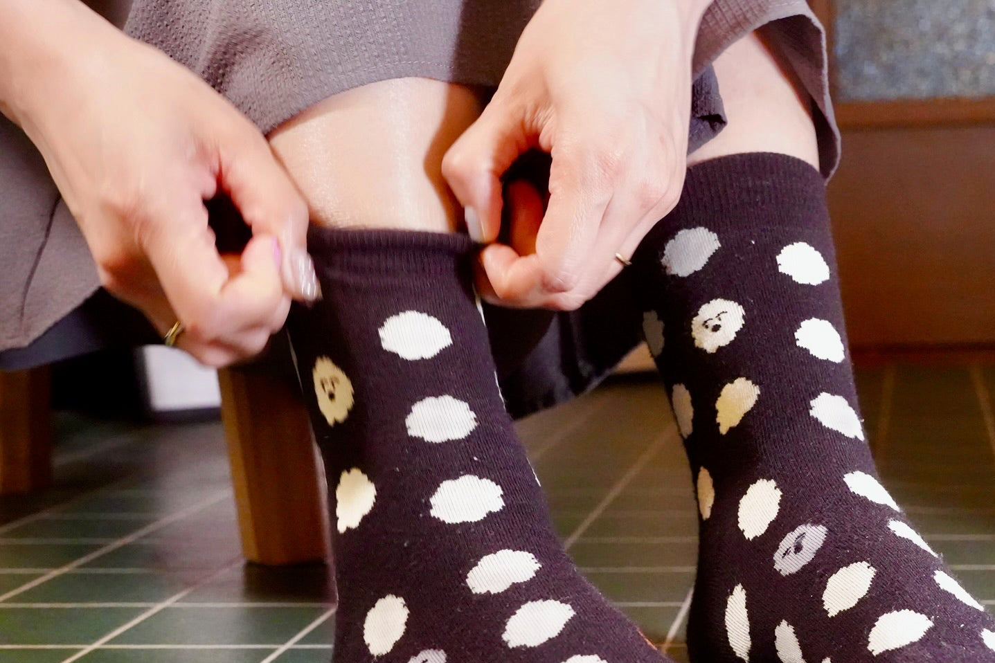 Socks | Brown puppy