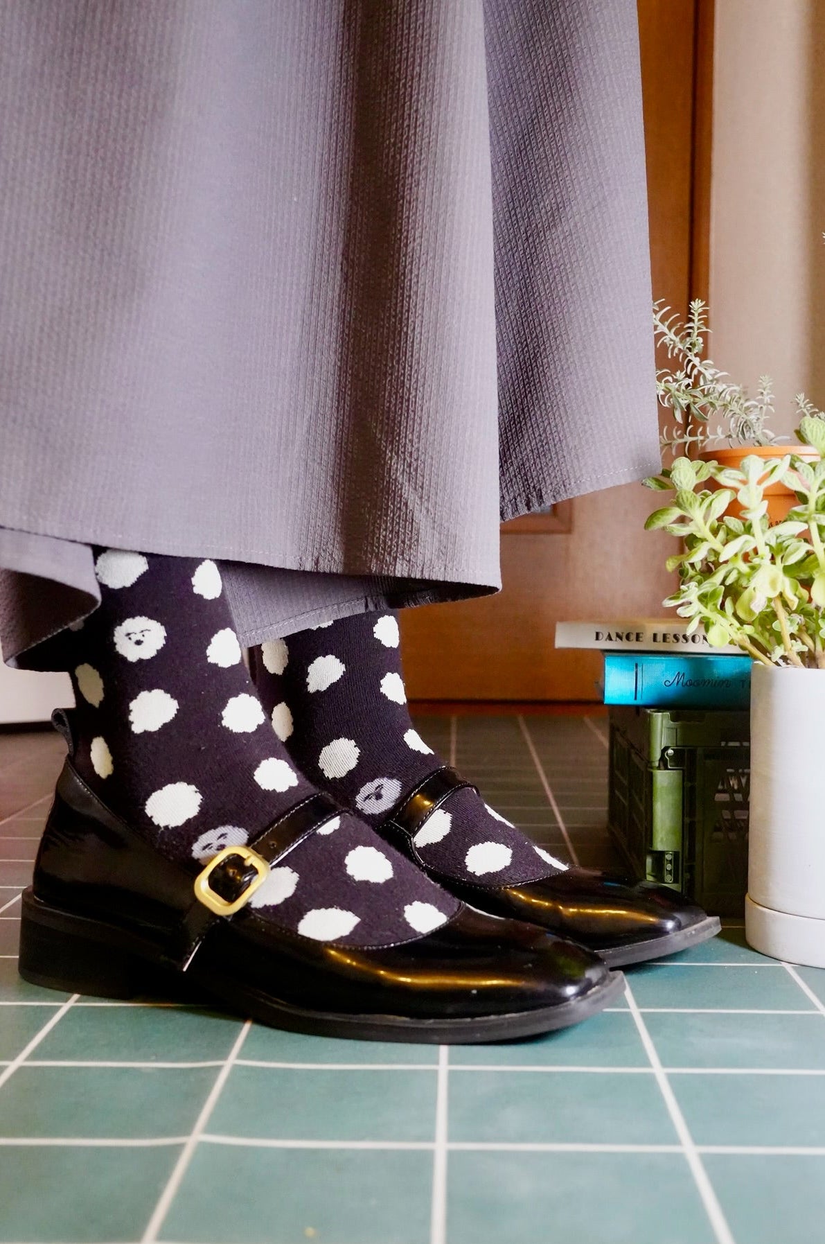 Socks | Brown puppy