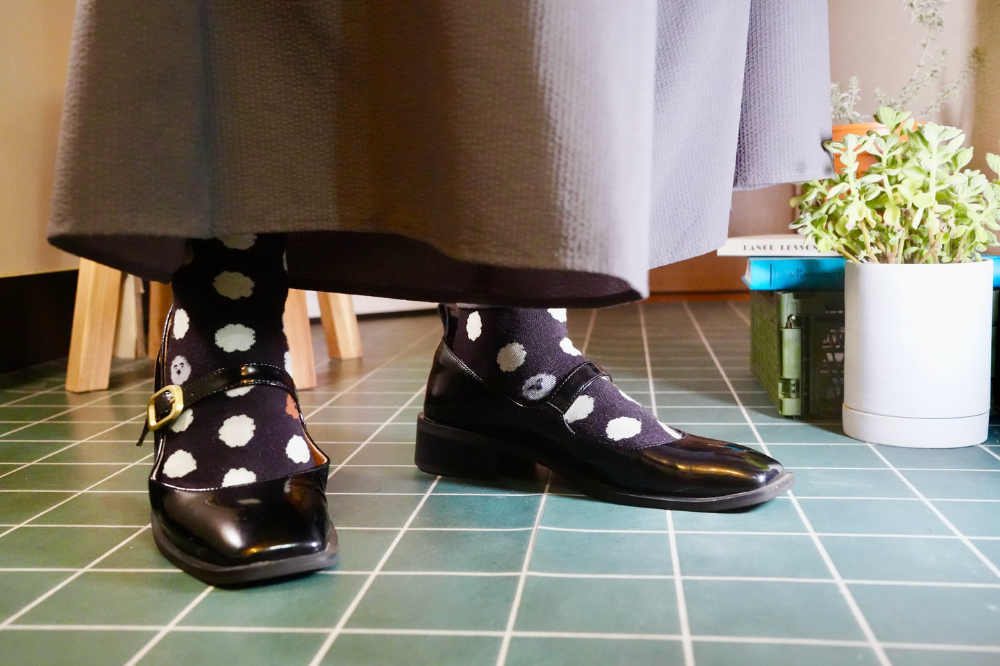 Socks | Brown puppy