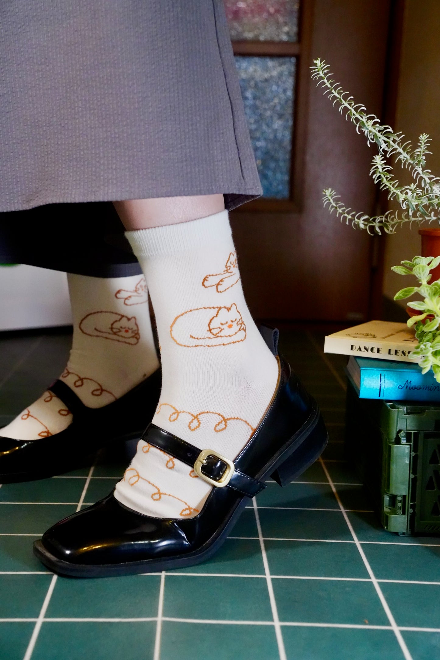 Socks | Three Little Kittens