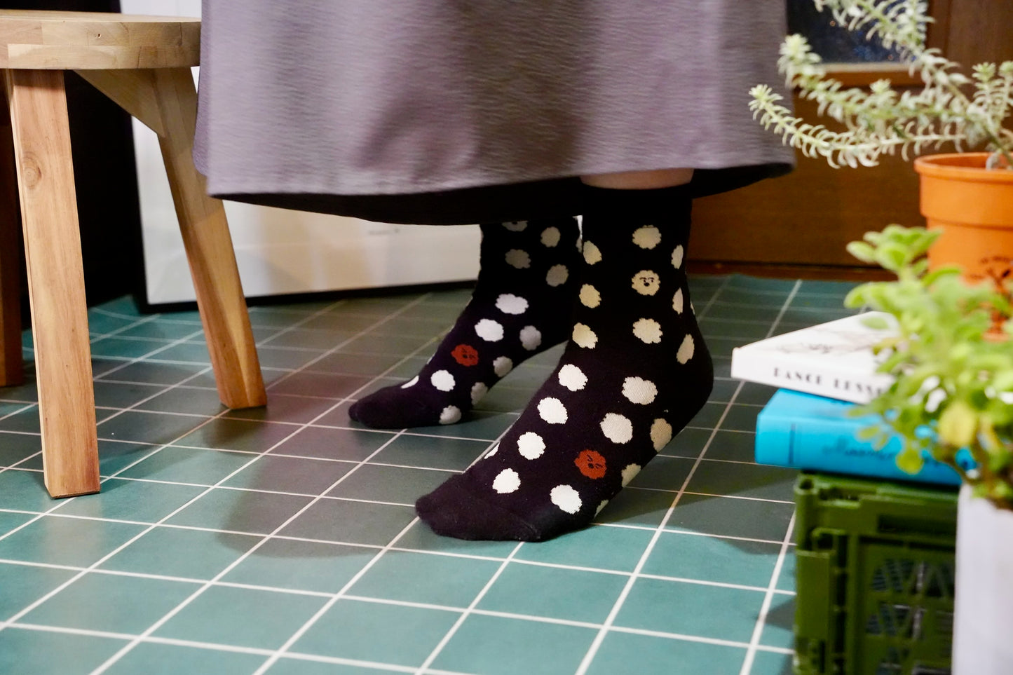 Socks | Brown puppy