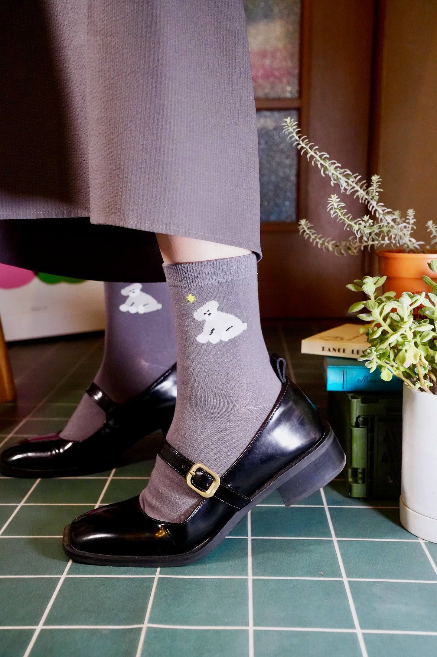Socks | Schnauzer
