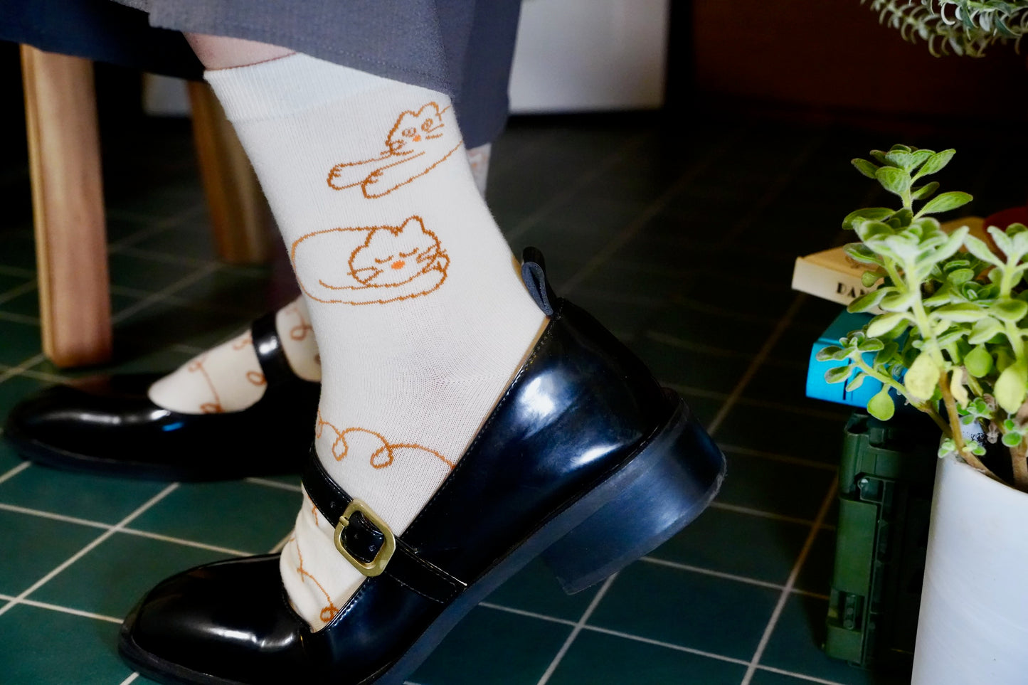 Socks | Three Little Kittens