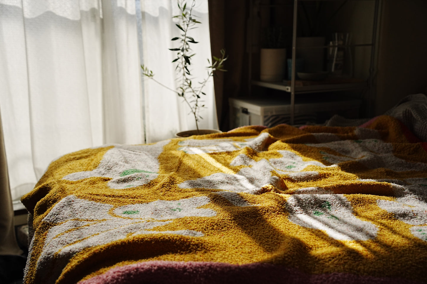 Blanket | Soft and fluffy dogs